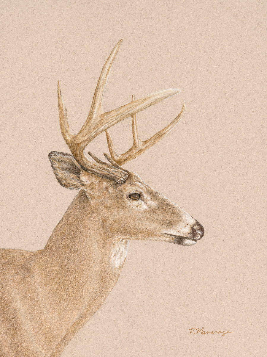 2421513 :: Giclée Fine Art Matte Paper Print
