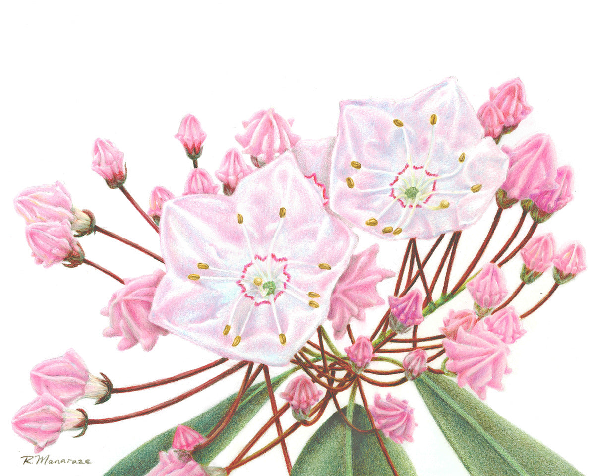 2421489 :: Giclée Fine Art Matte Paper Print