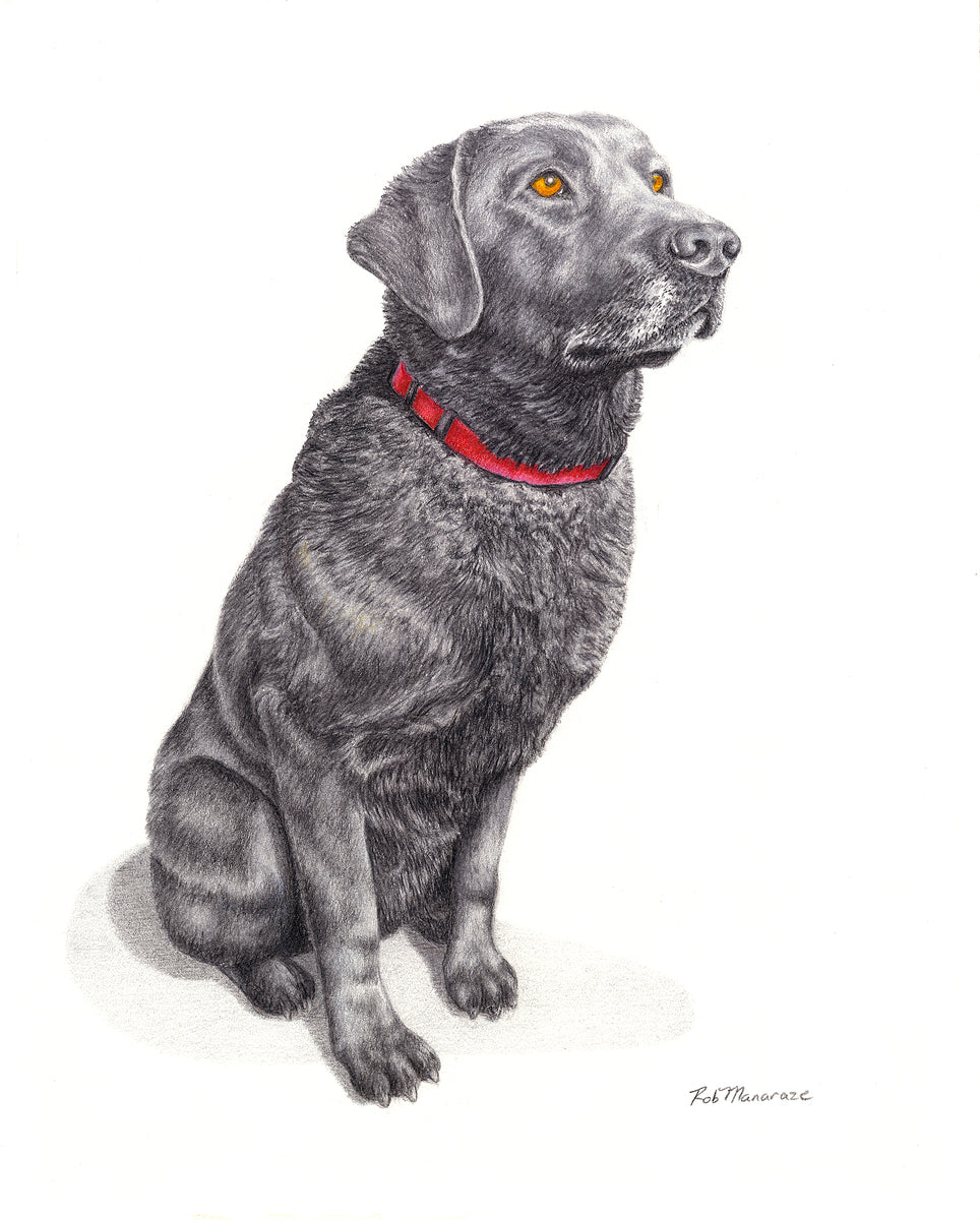 2421521 :: Giclée Fine Art Matte Paper Print