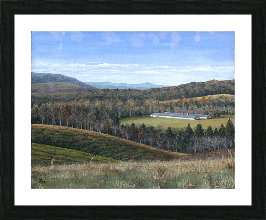 2421278 :: Framed Print