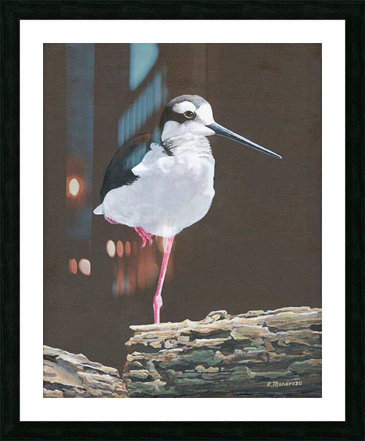 2421487 :: Framed Print