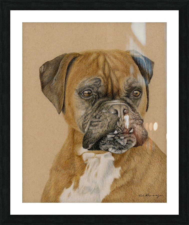 2421488 :: Framed Print