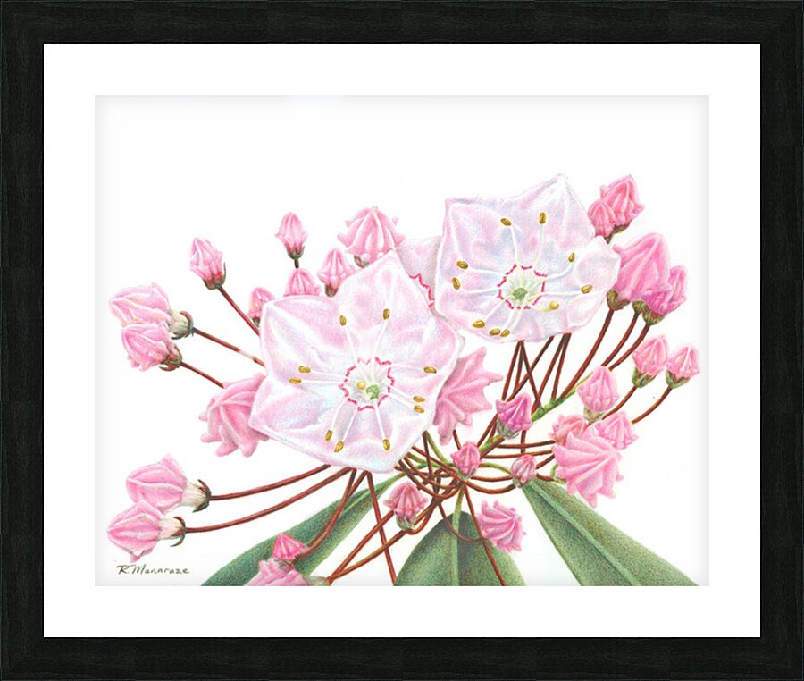 2421489 :: Framed Print