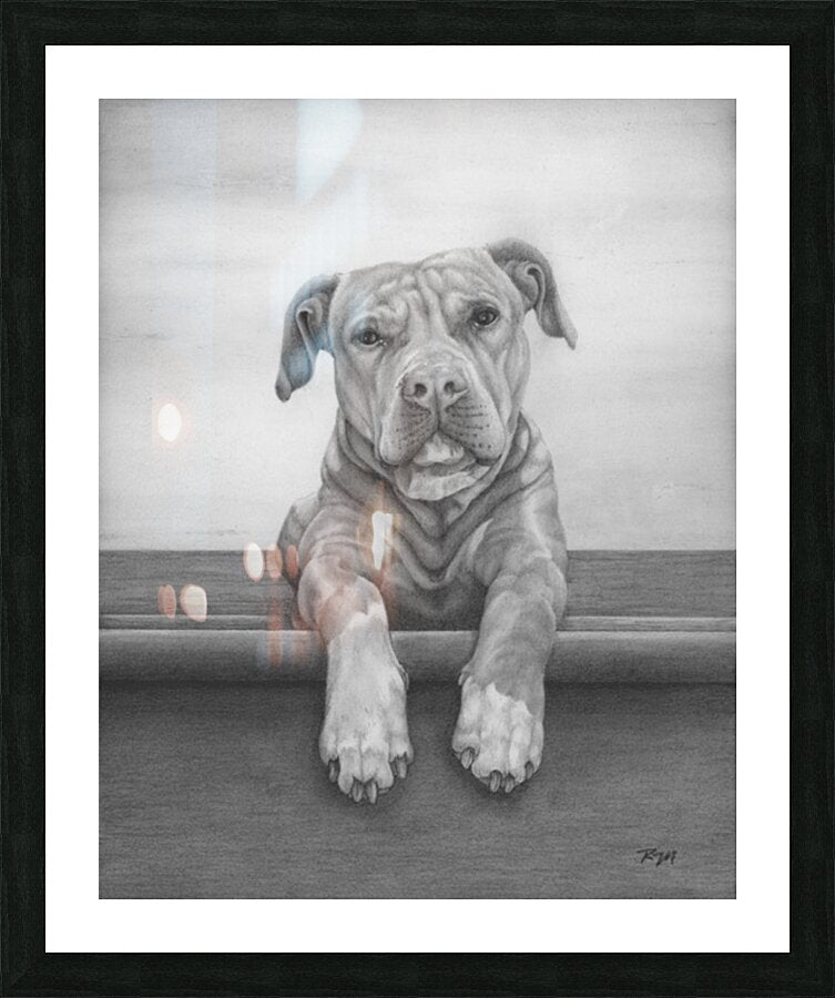 2421490 :: Framed Print