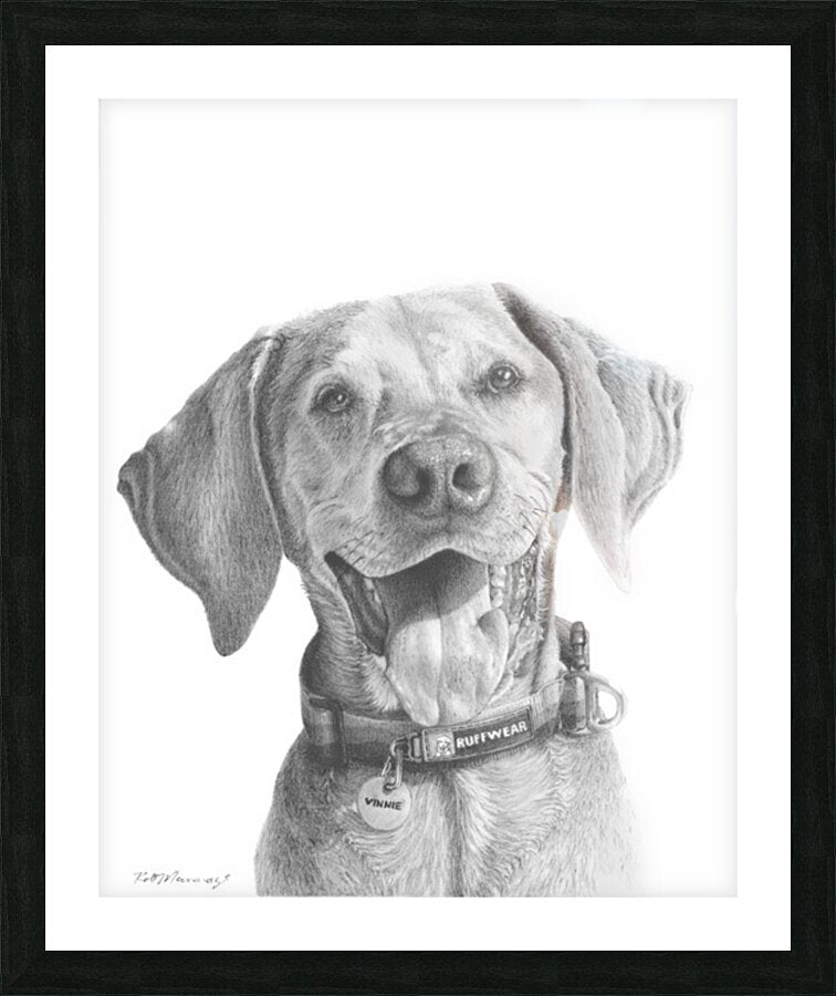 2421491 :: Framed Print
