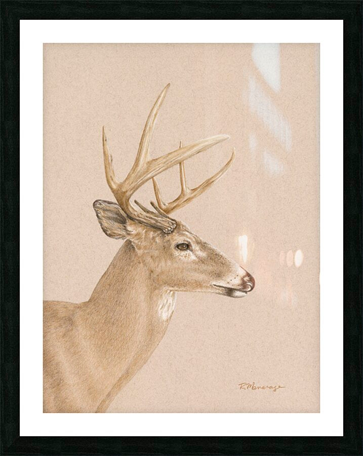 2421513 :: Framed Print