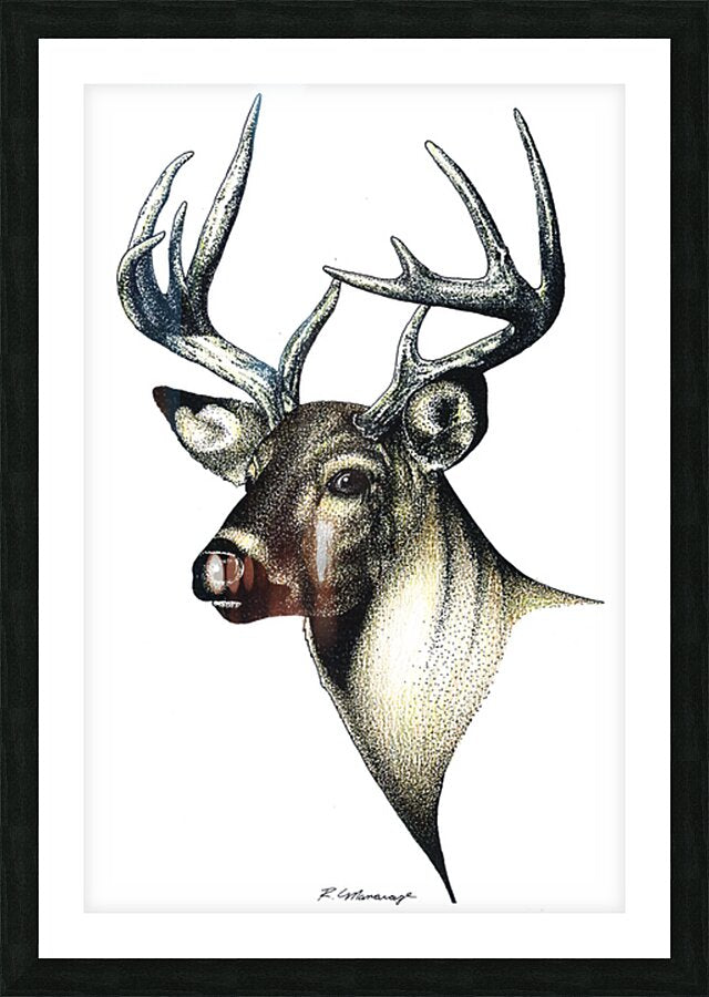 2421515 :: Framed Print