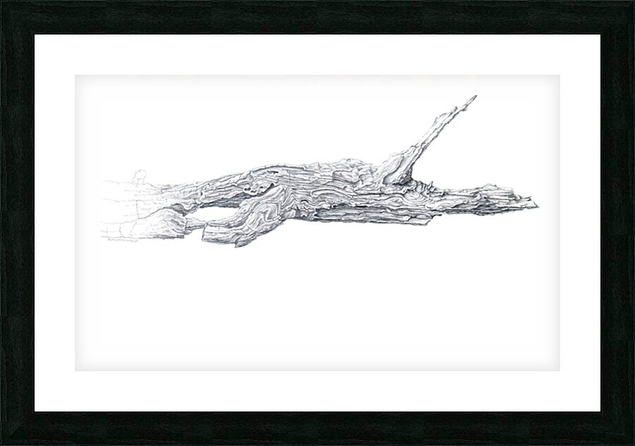 2421520 :: Framed Print