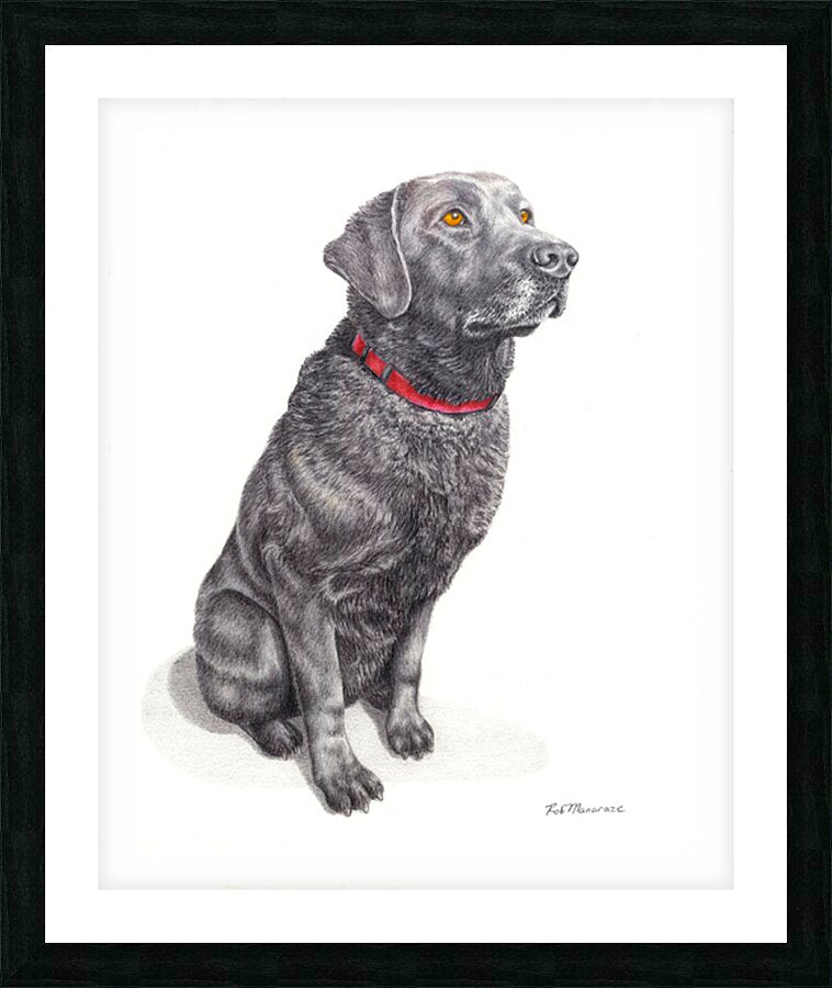 2421521 :: Framed Print