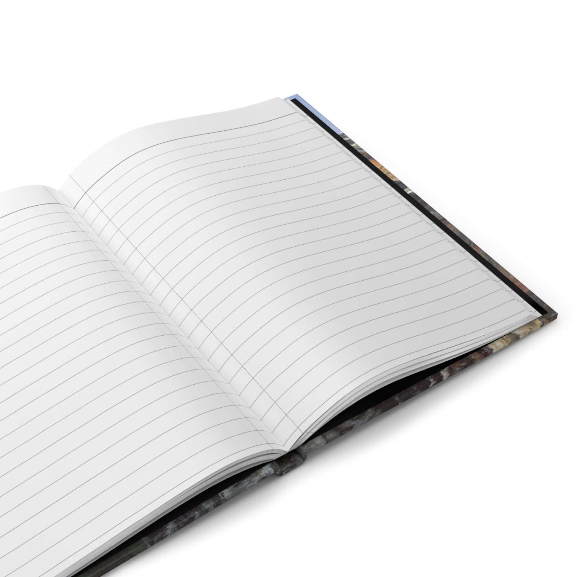Hanging Rock | Journal
