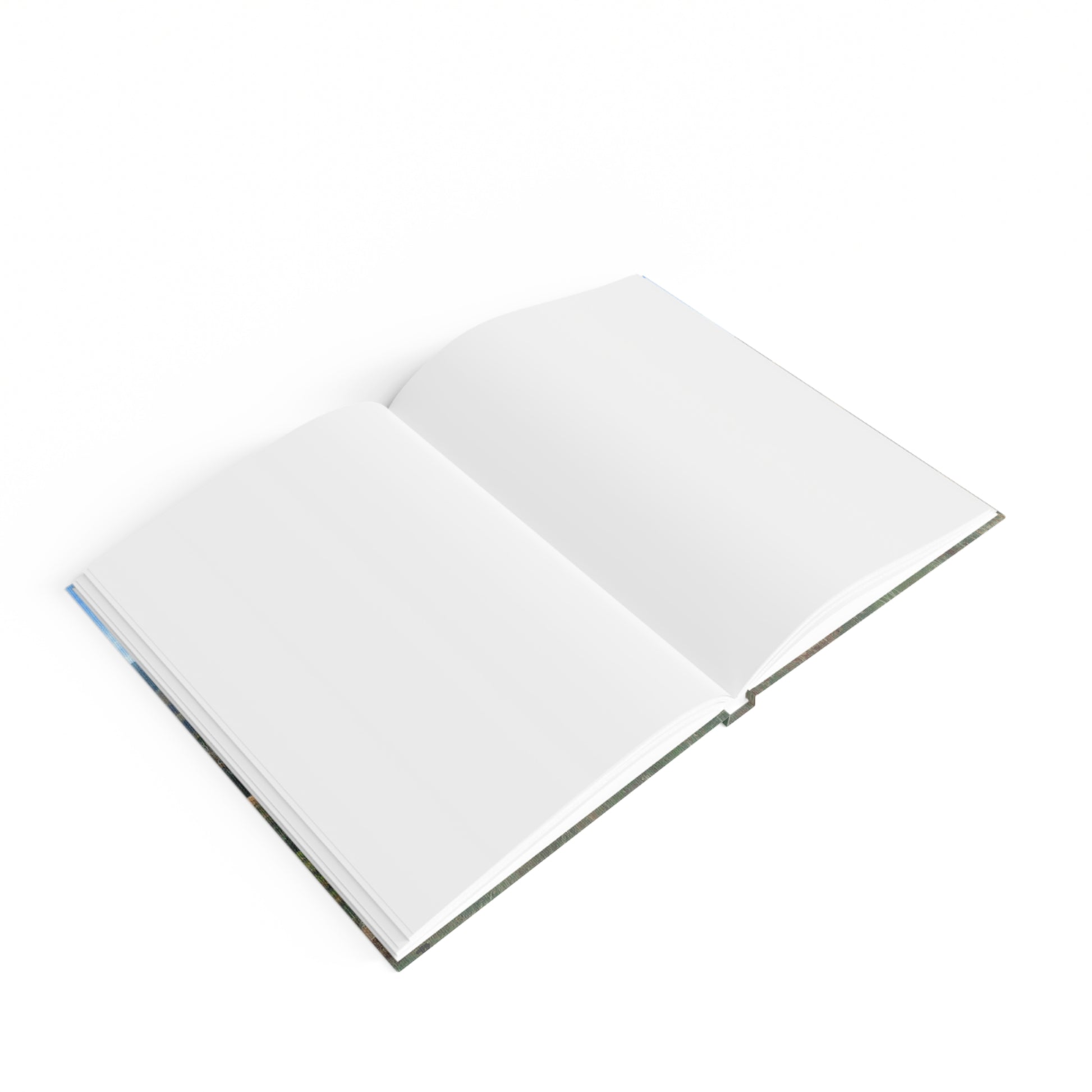 View From the Rock | Journal and Sketchbook