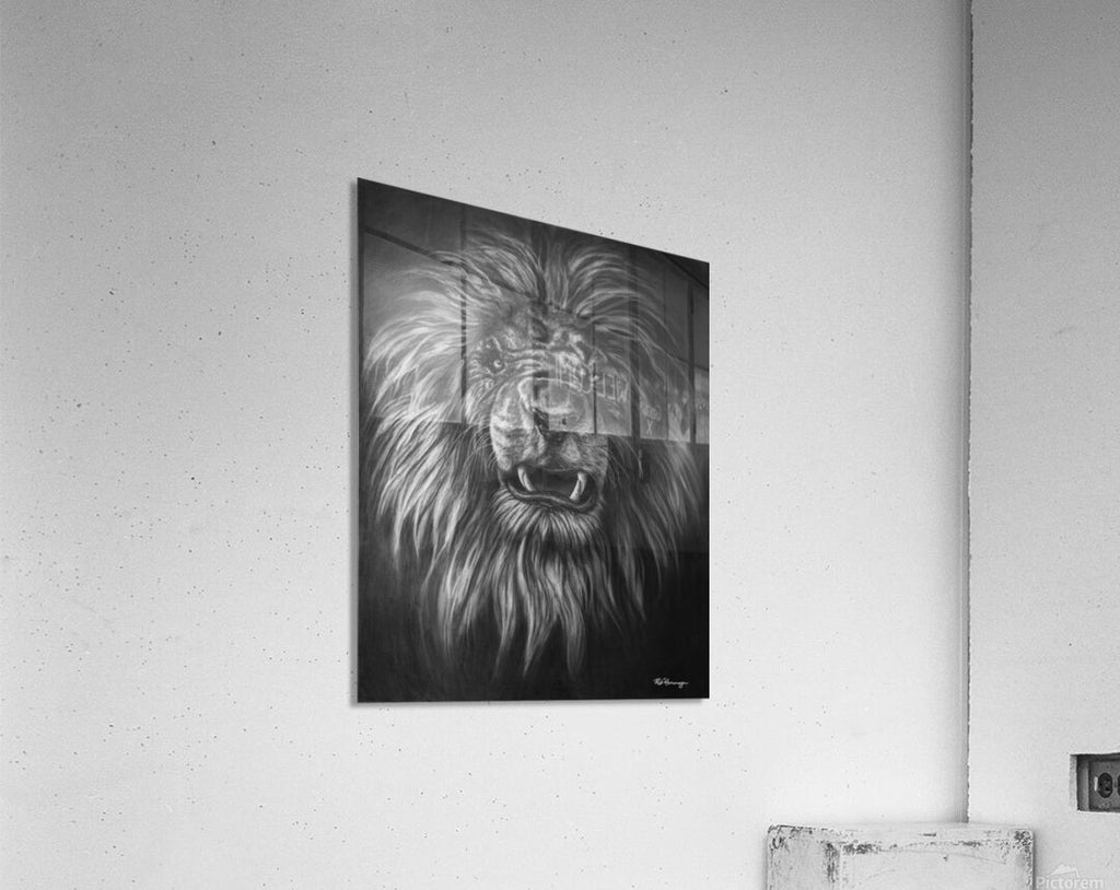 2762562 :: Acrylic Print