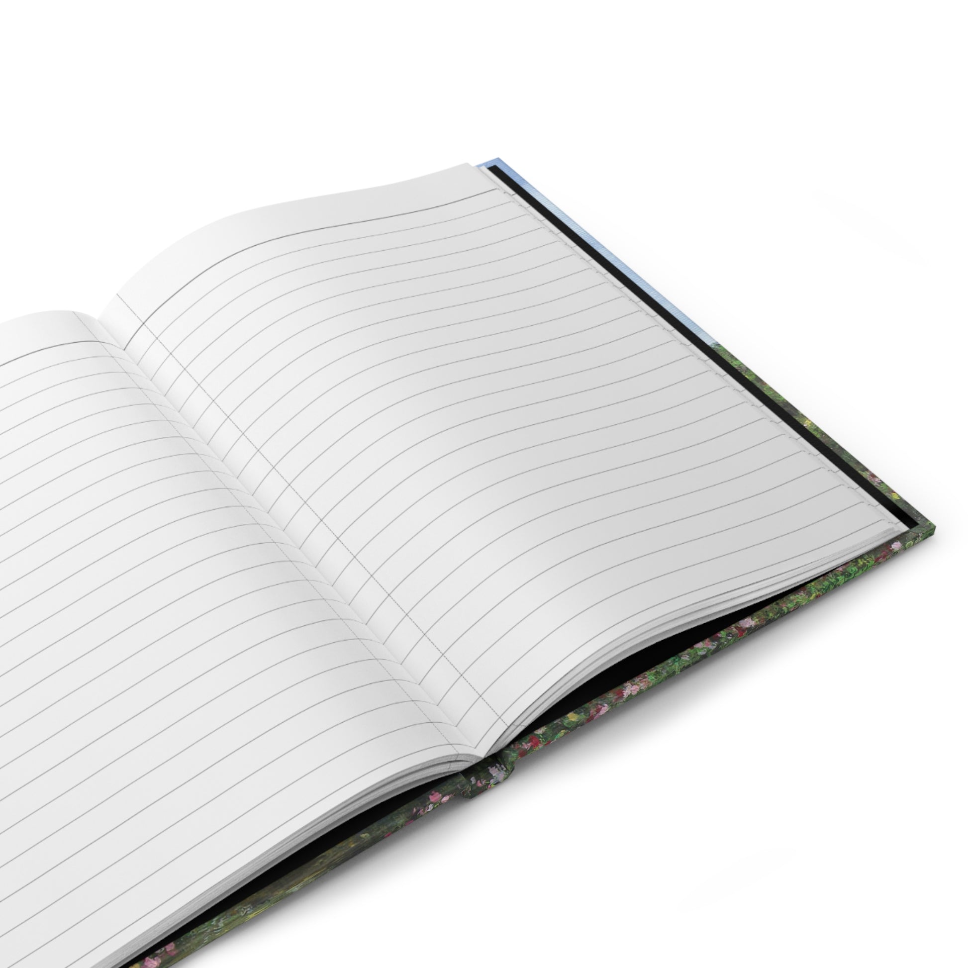 The Overlook | Journal