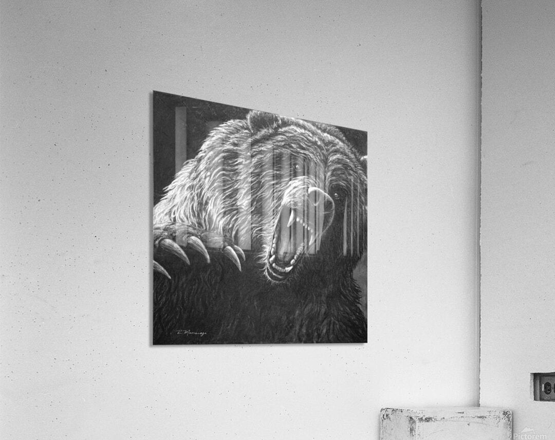 2762560 :: Acrylic Print