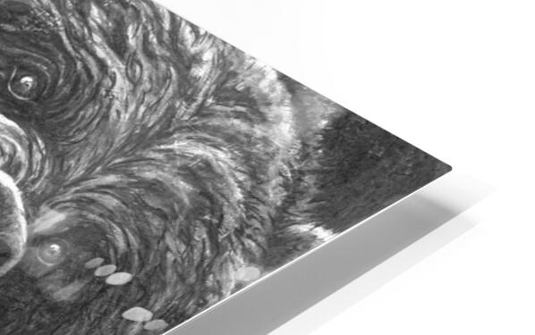 2762560 :: HD Sublimation Metal Print
