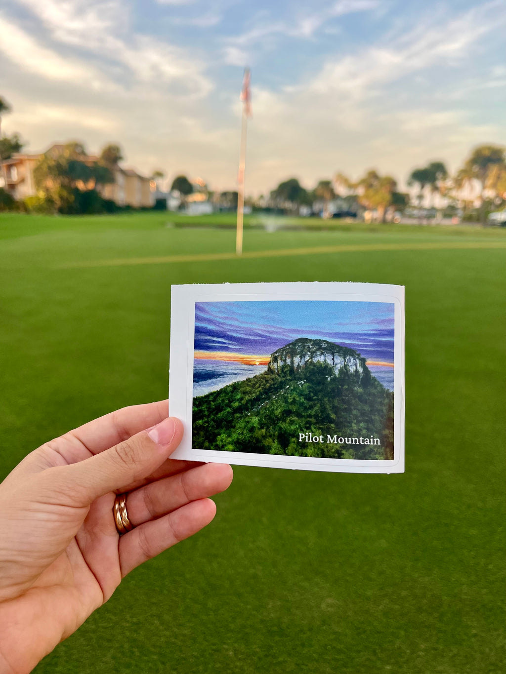 Pilot Mountain | Vinyl Sticker