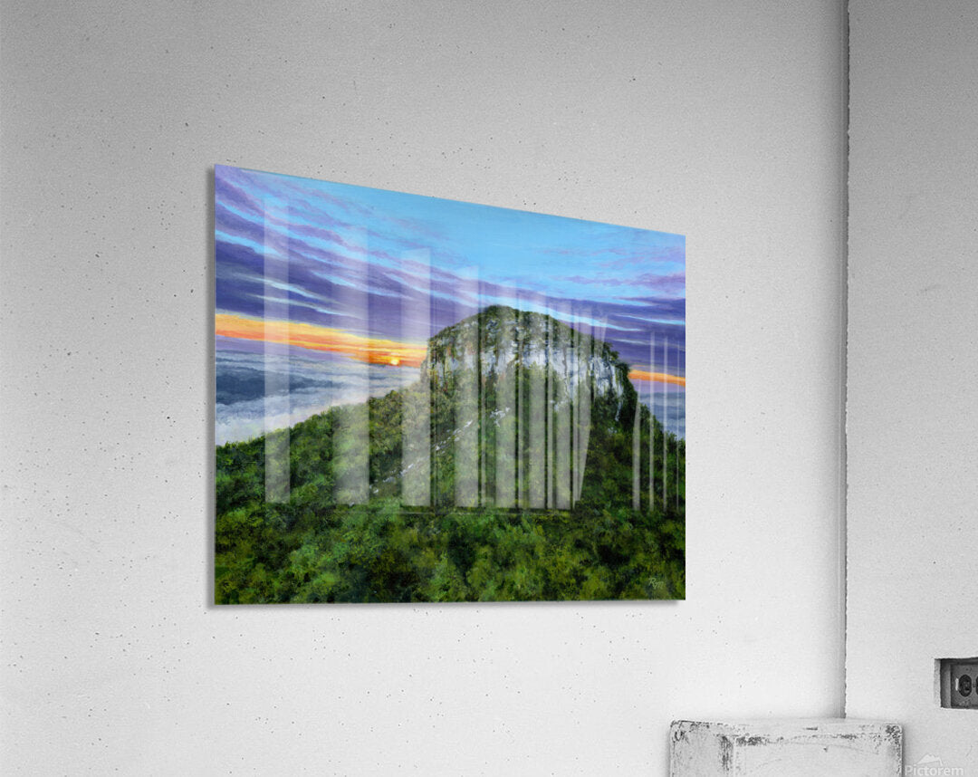 2421262 :: Acrylic Print