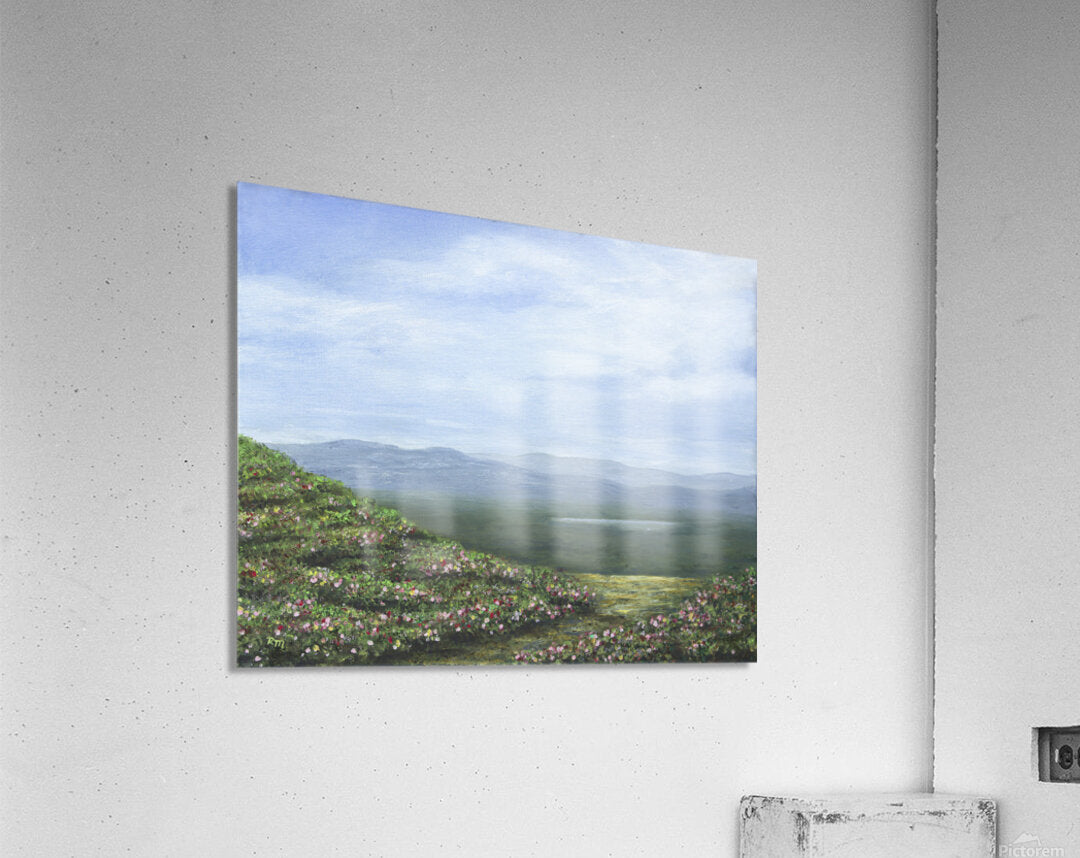2421276 :: Acrylic Print