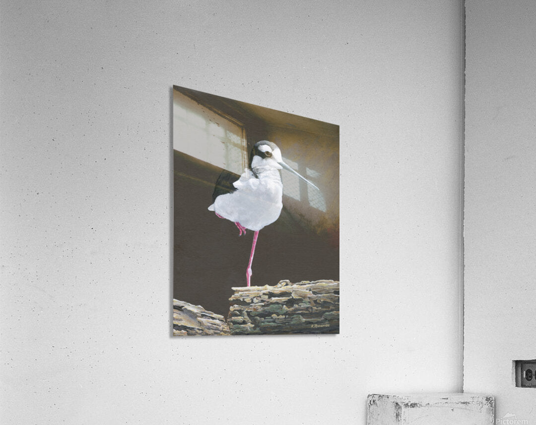 2421487 :: Acrylic Print