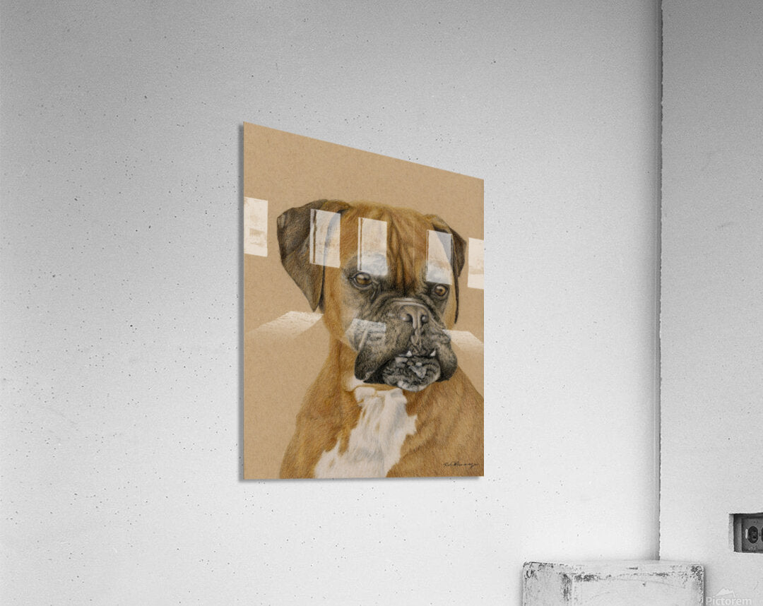 2421488 :: Acrylic Print