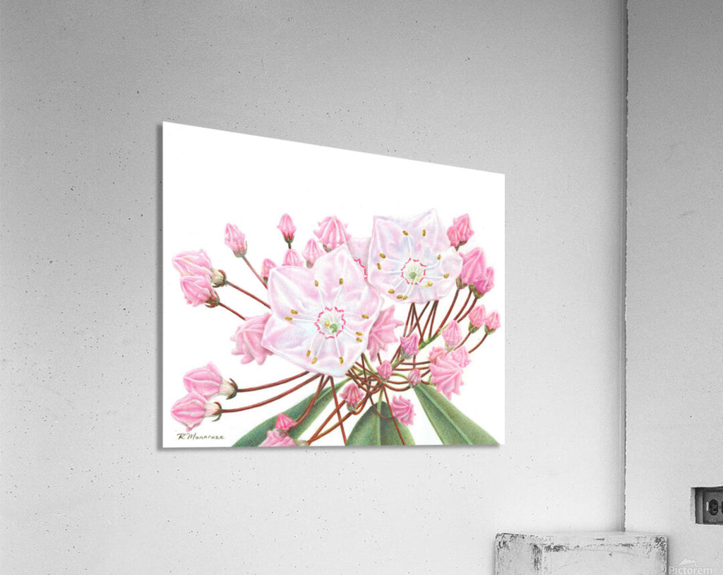 2421489 :: Acrylic Print