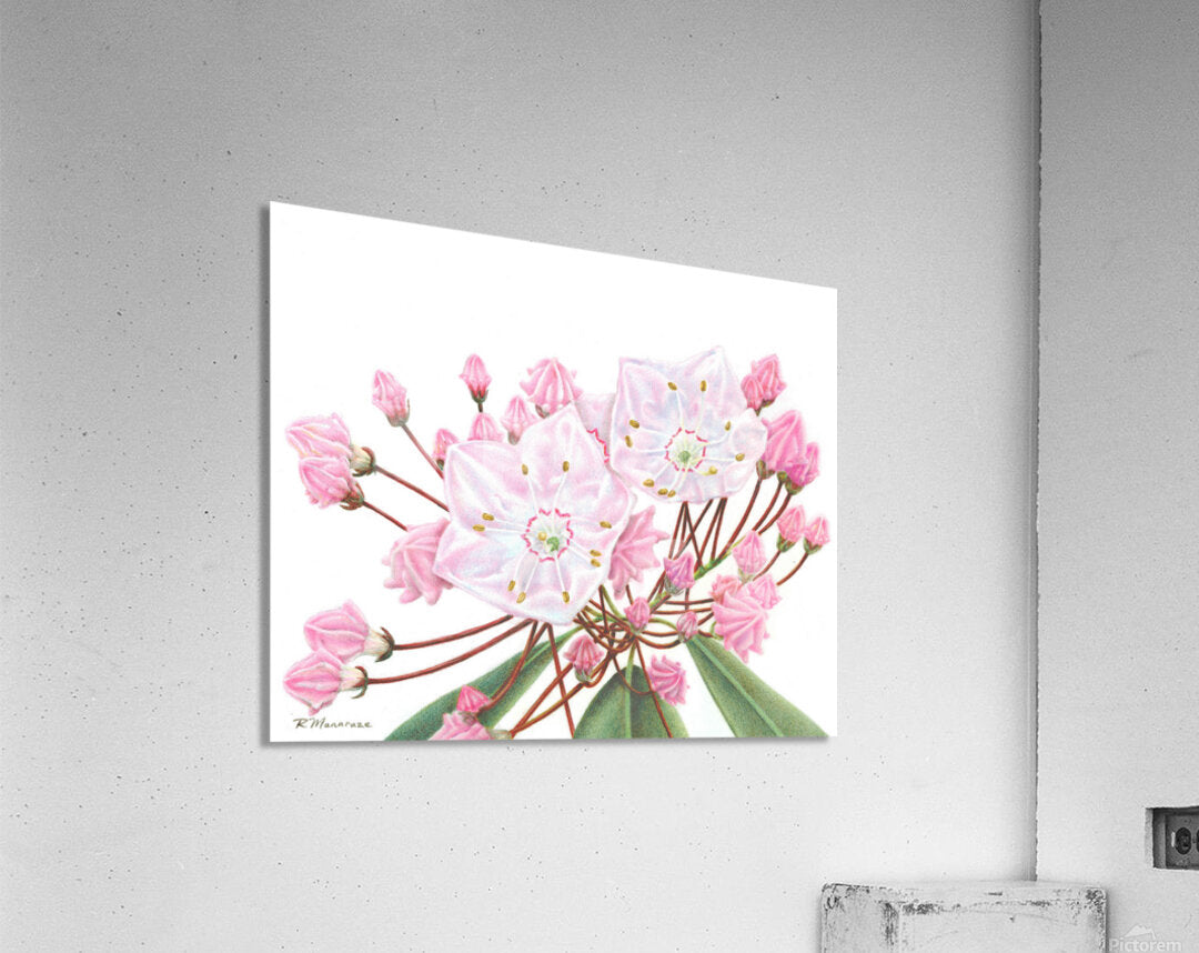 2421489 :: Acrylic Print