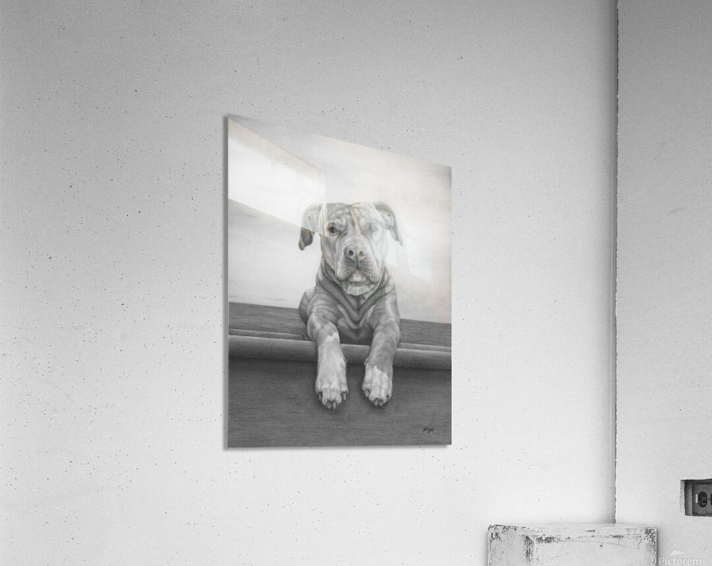 2421490 :: Acrylic Print