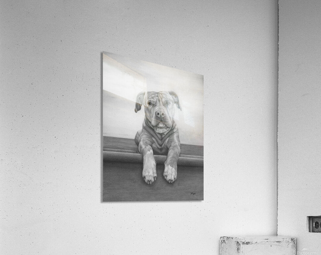 2421490 :: Acrylic Print