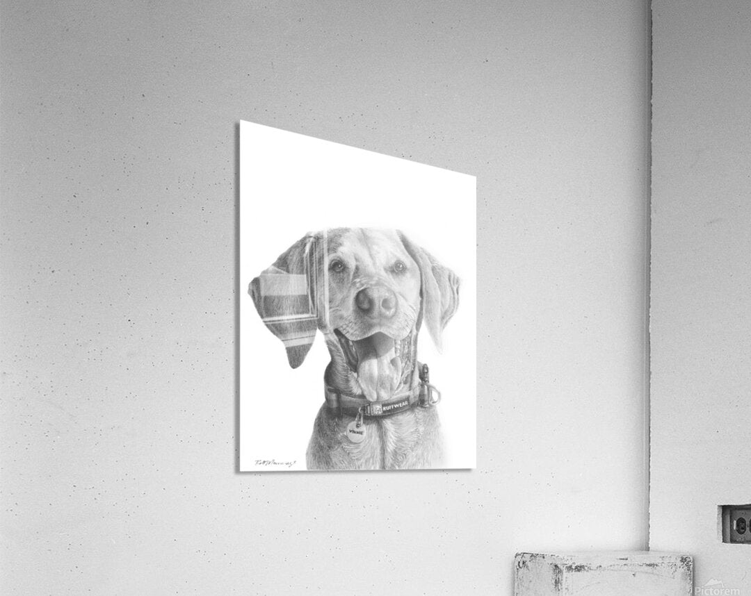 2421491 :: Acrylic Print