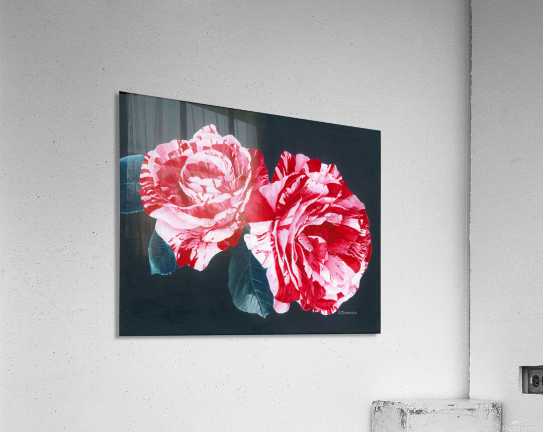 2421511 :: Acrylic Print