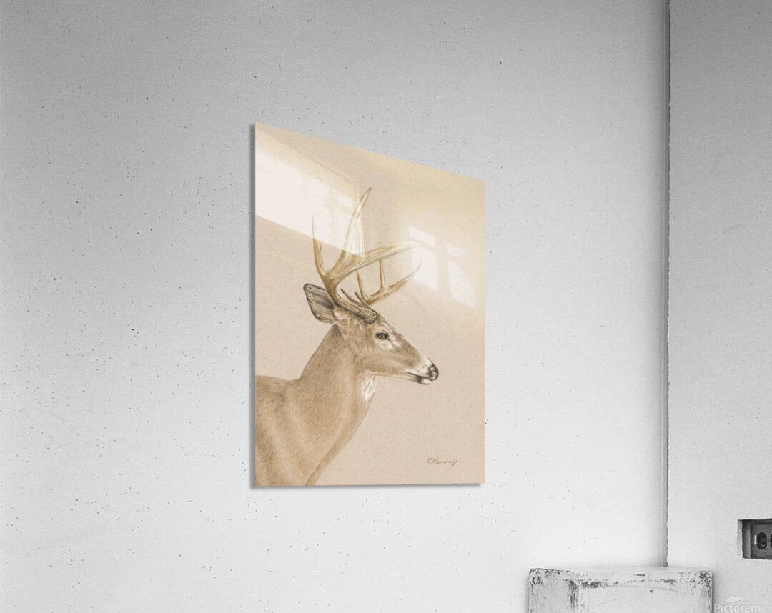 2421513 :: Acrylic Print