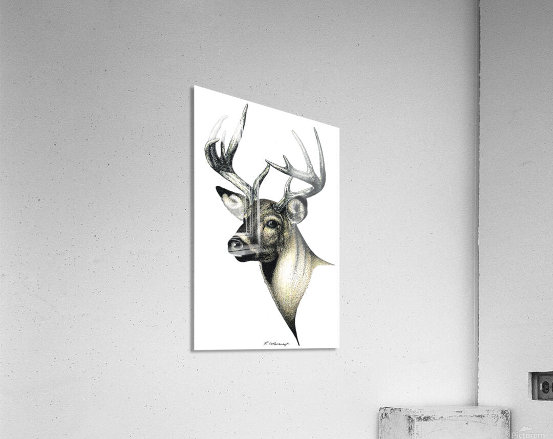 2421515 :: Acrylic Print