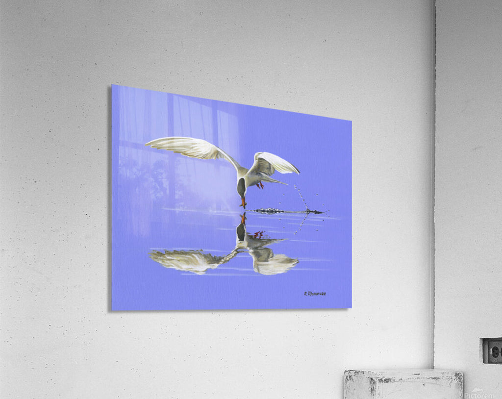 2421517 :: Acrylic Print