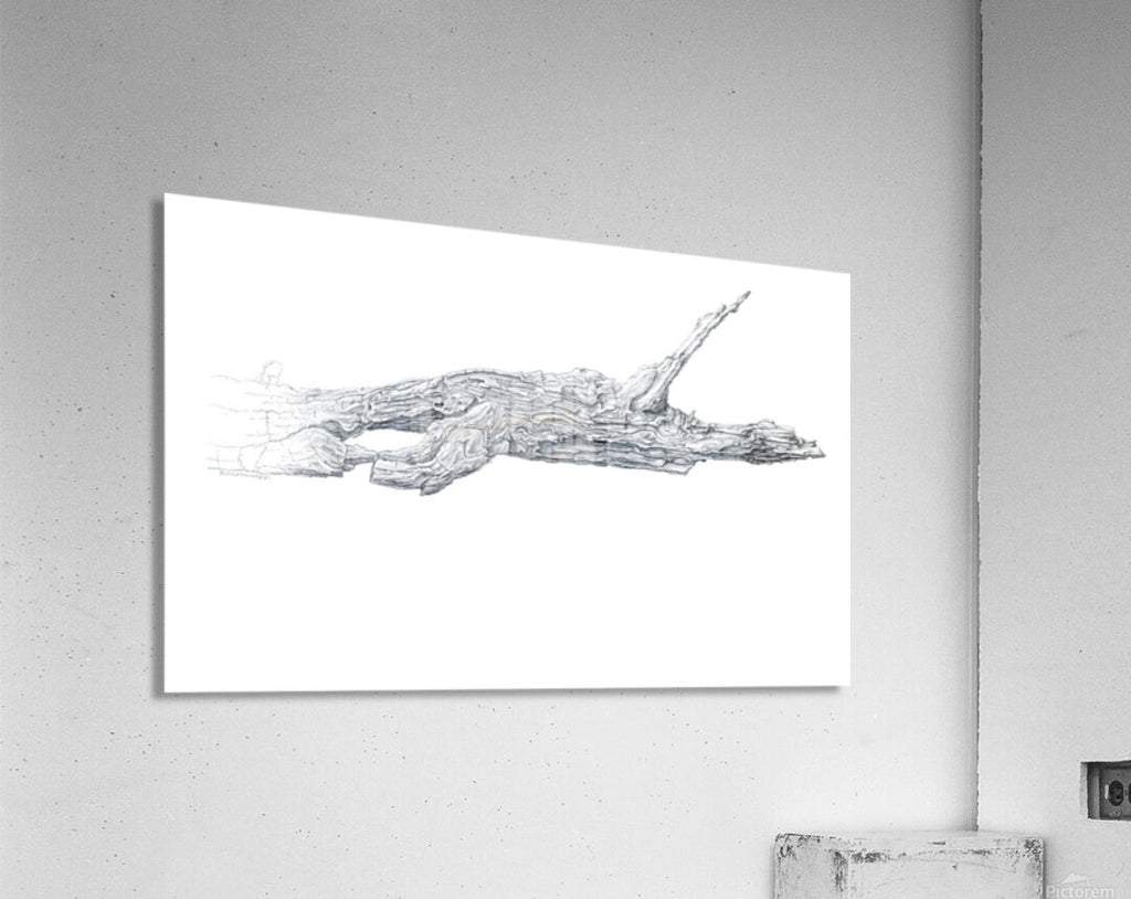 2421520 :: Acrylic Print