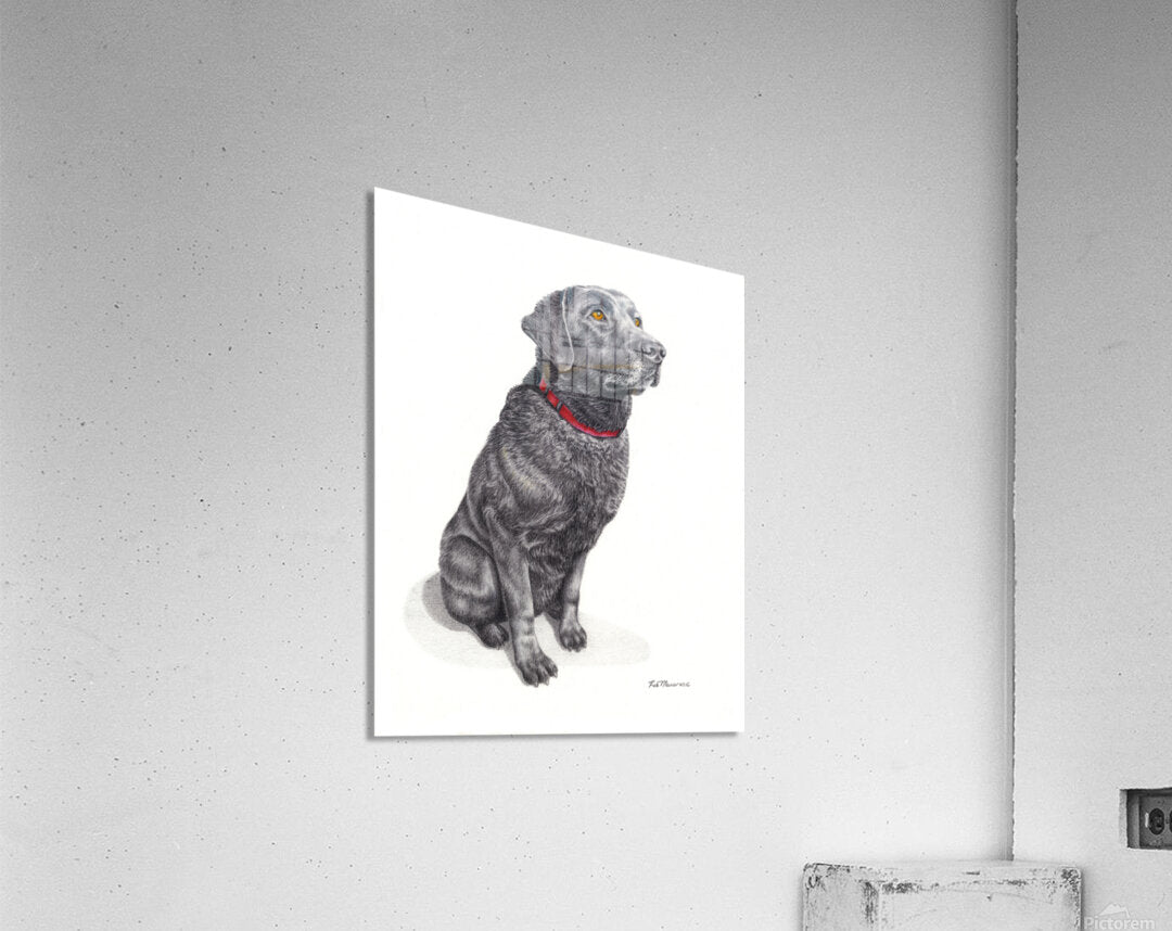 2421521 :: Acrylic Print