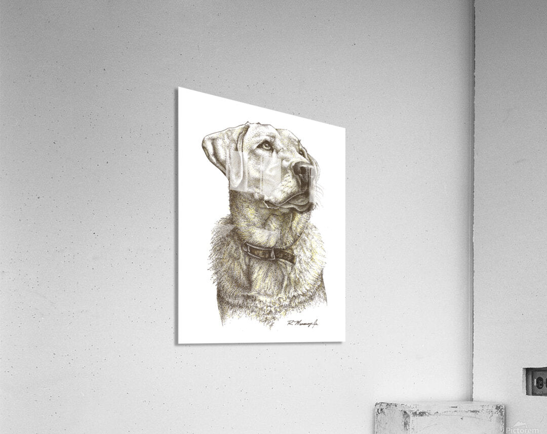 2421536 :: Acrylic Print