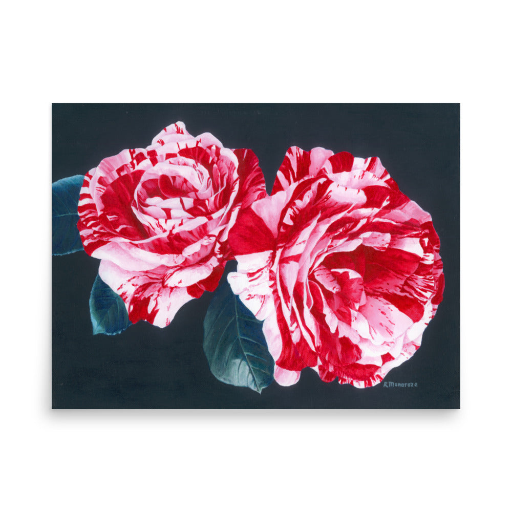 Candy Cane Roses