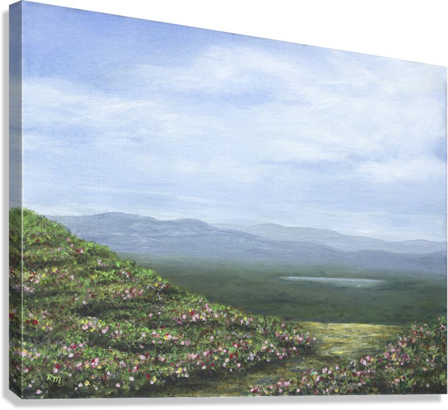 2421276 :: Giclée Stretched Canvas Print