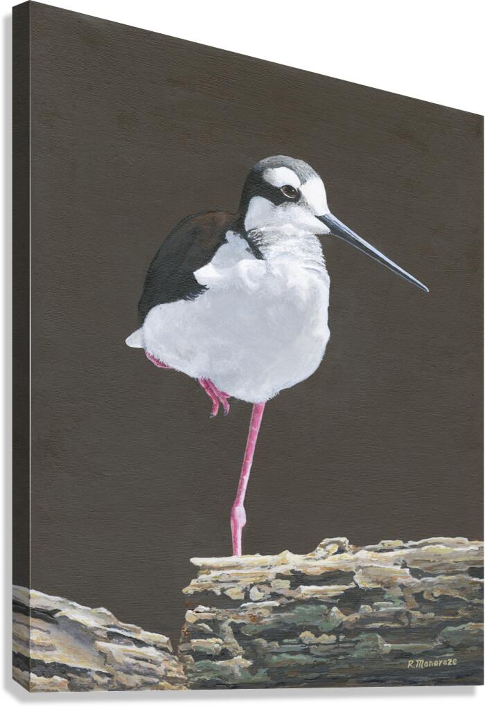 2421487 :: Giclée Stretched Canvas Print