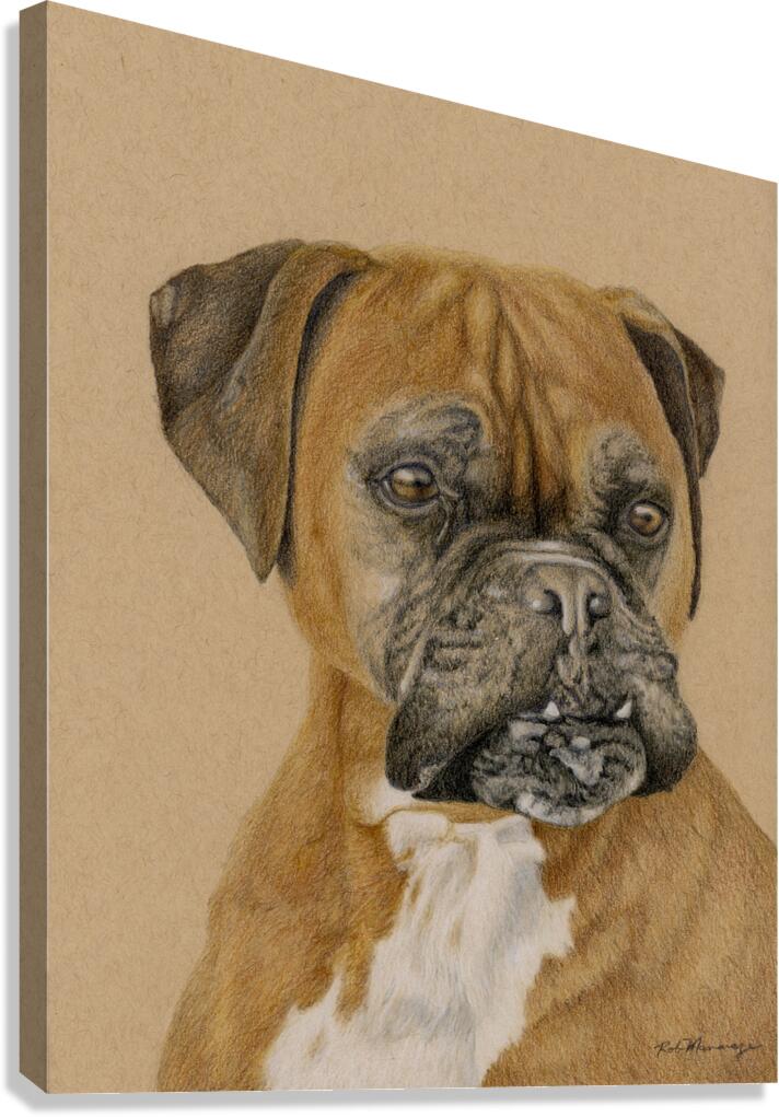 2421488 :: Giclée Stretched Canvas Print