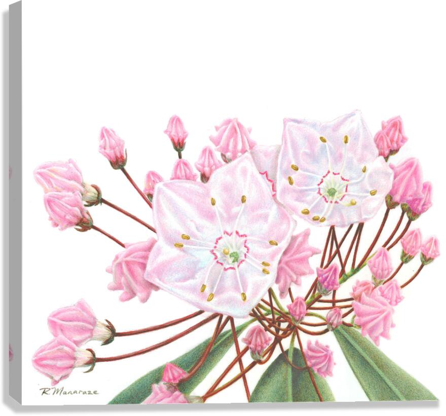 2421489 :: Giclée Stretched Canvas Print