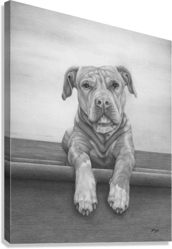 2421490 :: Giclée Stretched Canvas Print