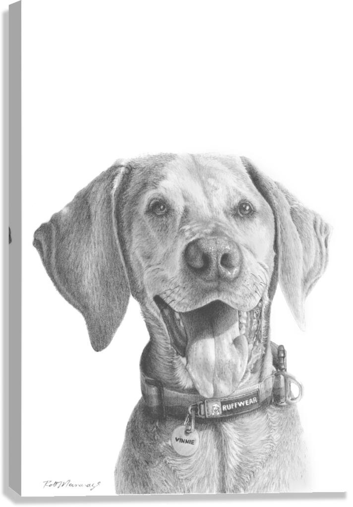 2421491 :: Giclée Stretched Canvas Print