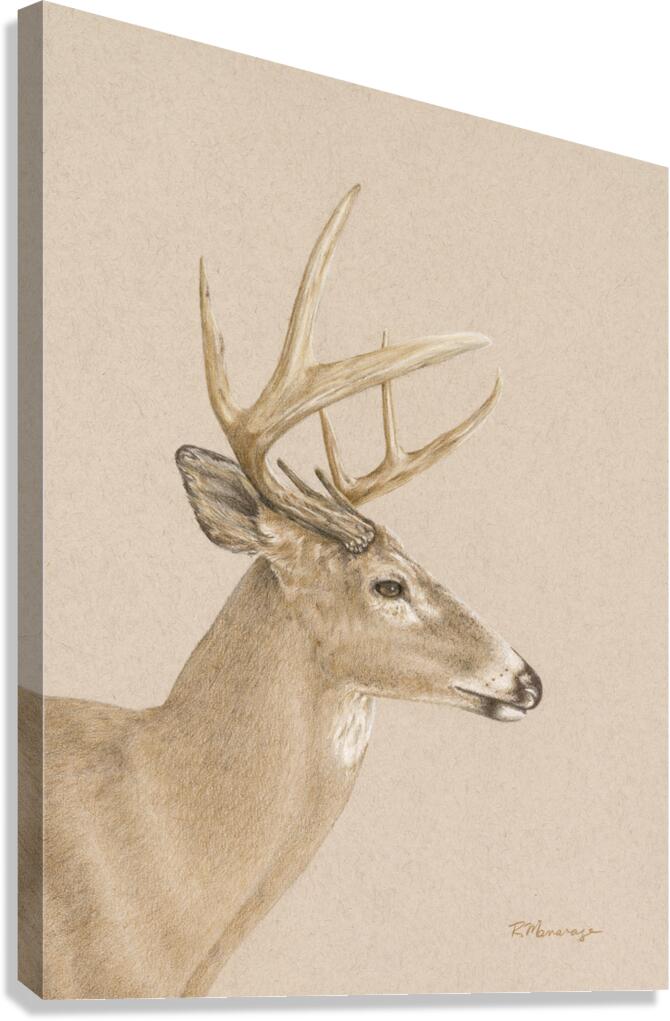 2421513 :: Giclée Stretched Canvas Print