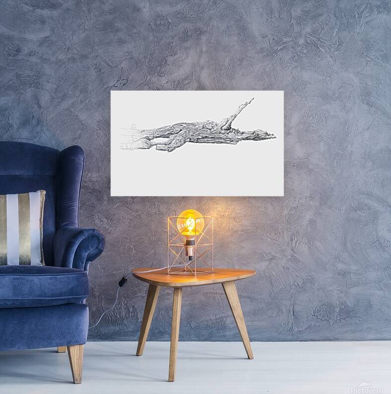 2421520 :: Giclée Stretched Canvas Print