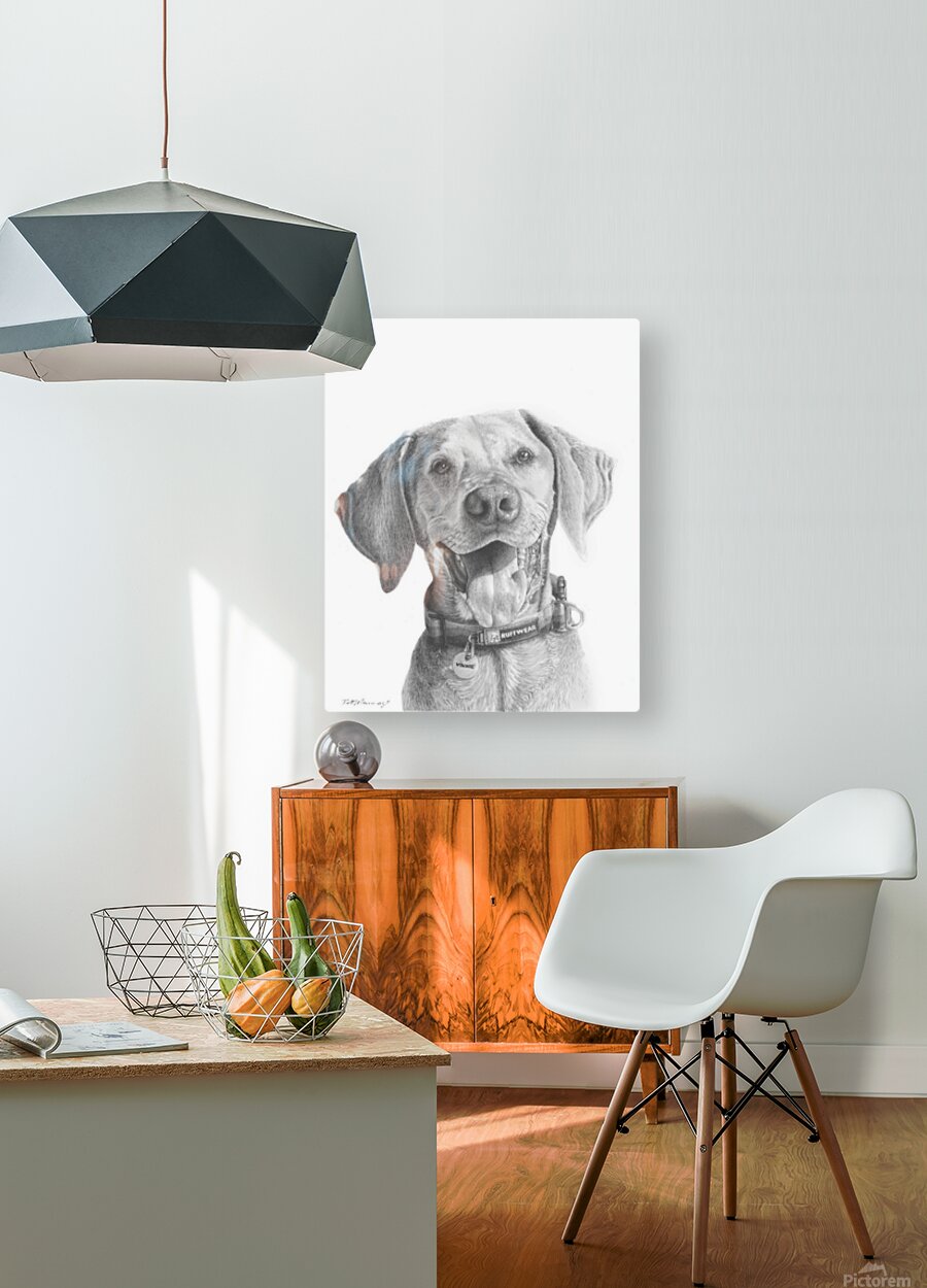 2421491 :: HD Sublimation Metal Print