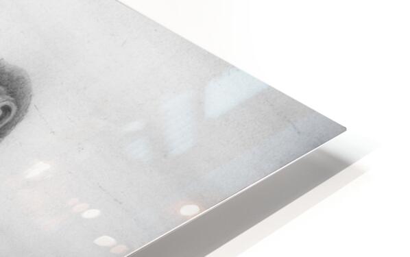 2421490 :: HD Sublimation Metal Print