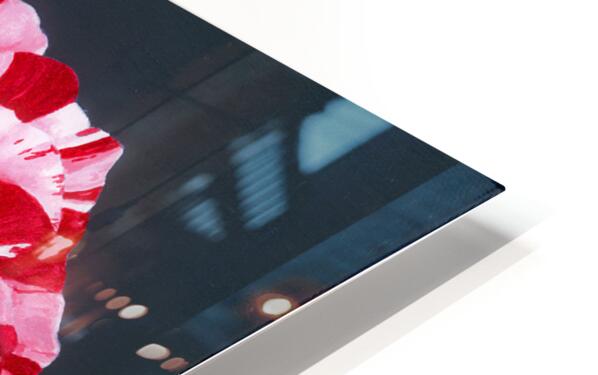 2421511 :: HD Sublimation Metal Print