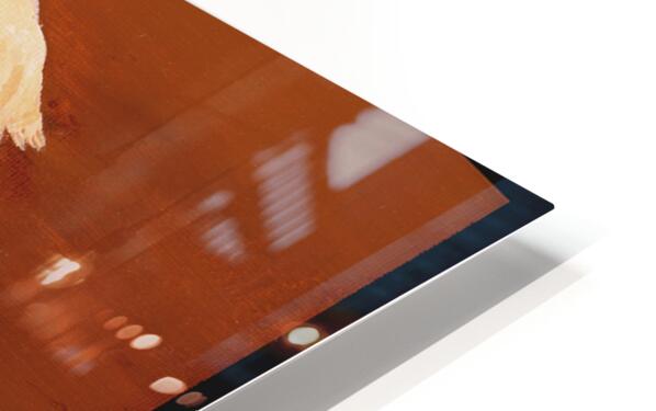 2421531 :: HD Sublimation Metal Print