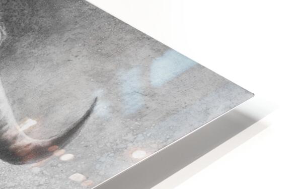 2449975 :: HD Sublimation Metal Print
